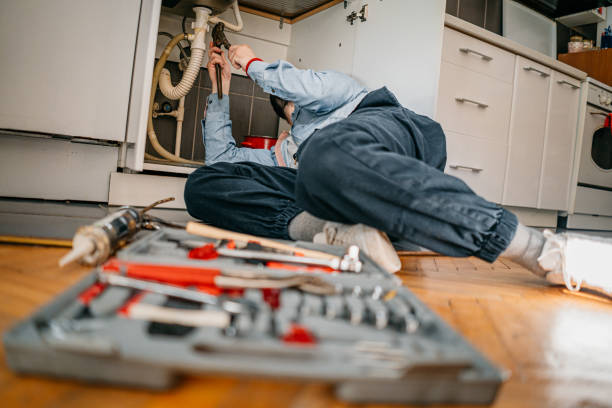 Best Best Plumbers Near Me  in Zeigler, IL