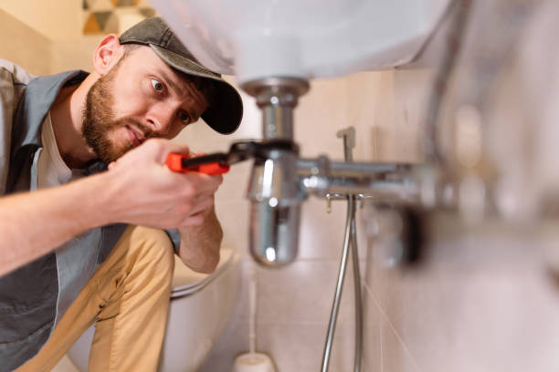 Best Plumbing Inspection Services  in Zeigler, IL