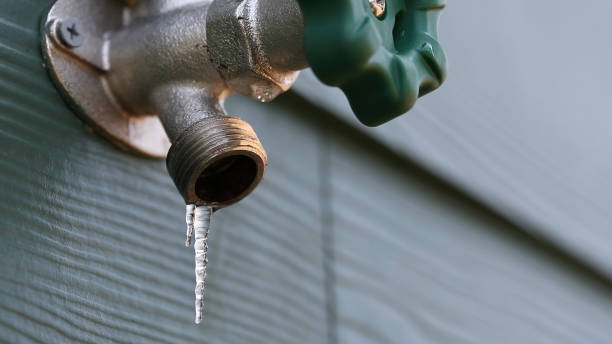 Best Sprinkler Systems  in Zeigler, IL