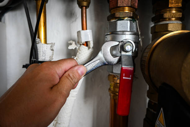 Best Sewer Line Repair  in Zeigler, IL